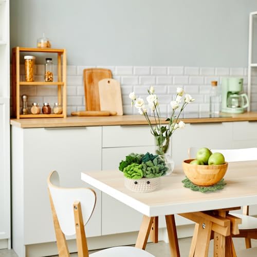 Haakset voor beginners, haakstarterset, bloempot-plant-haakset voor beginners, voor doe-het-zelf-knutselprojecten met haaknaalden, kleurrijk garen,