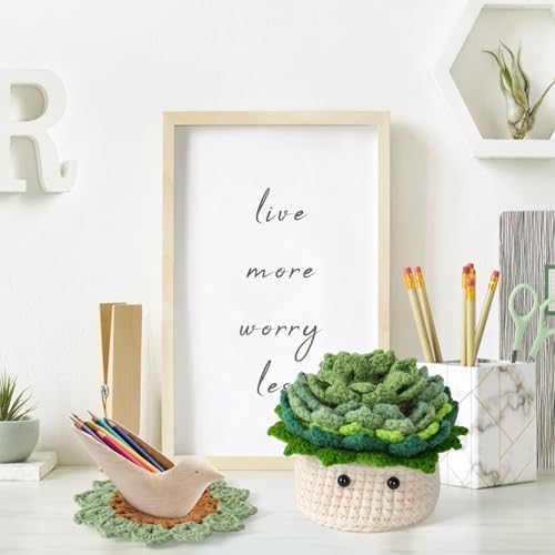 Haakset voor beginners, haakstarterset, bloempot-plant-haakset voor beginners, voor doe-het-zelf-knutselprojecten met haaknaalden, kleurrijk garen,