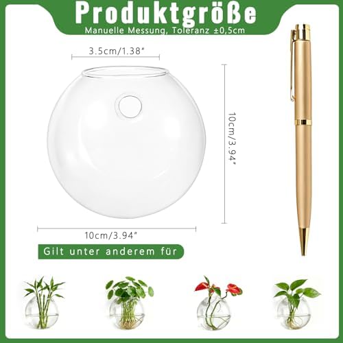 Set van 6 creatieve glazen wandvazen, hangende potten voor hydrocultuurplanten, wanddecoratie voor thuis/de woonkamer