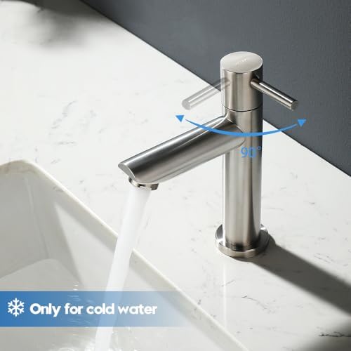 Koudwaterkraan voor gastentoilet, badkamer, alleen koud water, eengreepsmengkraan, wastafelkraan, geborsteld roestvrij staal