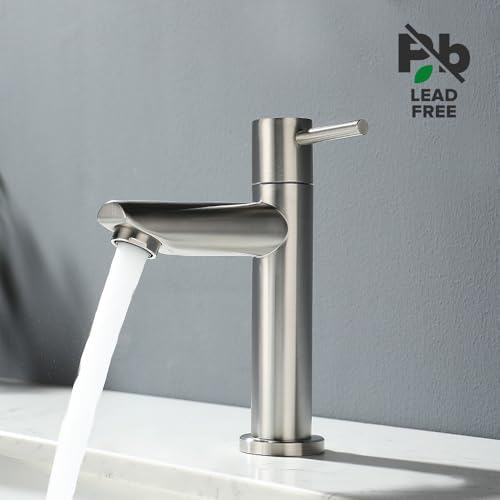 Koudwaterkraan voor gastentoilet, badkamer, alleen koud water, eengreepsmengkraan, wastafelkraan, geborsteld roestvrij staal
