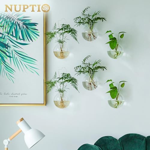 Set van 6 creatieve glazen wandvazen, hangende potten voor hydrocultuurplanten, wanddecoratie voor thuis/de woonkamer
