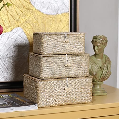 Zeegras opbergmand met deksel, handgevlochten rechthoekige rotanbox voor speelgoed, kleding, boeken, sleutels, make-up organizer, set van 3 opbergmanden