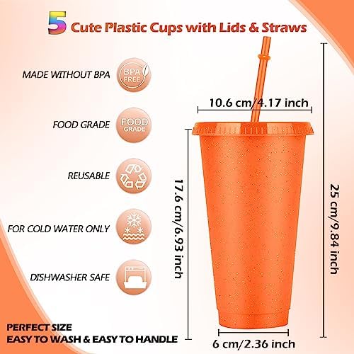 Set van 5 drinkbekers met rietje en deksel – 24 oz plastic bekers, smoothie- en koffiebekers voor onderweg, reisbekers voor kinderen en volwassenen, herbruikbare plastic bekers