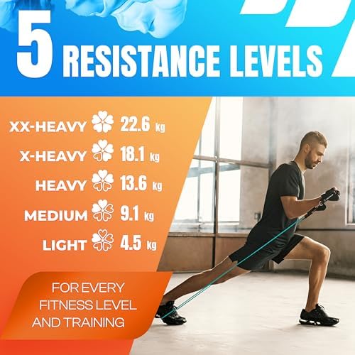 Set weerstandsbanden met 5 weerstanden – fitnessbanden met handgreep en deuranker van natuurlijk latex, weerstandsbanden voor spieropbouw en thuistraining