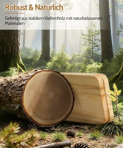 Houten wandplank, zwevende planken, hangplank, groter, praktische decoratieve planken met drie niveaus van massief hout voor de woonkamer en slaapkamer, afneembaar
