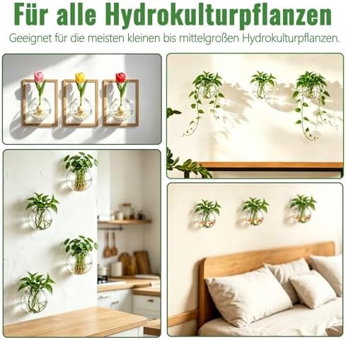 Set van 6 creatieve glazen wandvazen, hangende potten voor hydrocultuurplanten, wanddecoratie voor thuis/de woonkamer