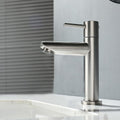 Koudwaterkraan voor gastentoilet, badkamer, alleen koud water, eengreepsmengkraan, wastafelkraan, geborsteld roestvrij staal