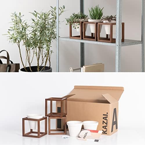 Lille wandvazen, hangende bloempotten in een frame van echt hout, 3-delige plantenpotenset van keramiek en hout voor aan de muur, op tafel en meer, walnootbruin