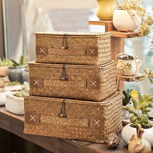 Rieten opbergmand met deksel, 3 stuks gevlochten manden van natuurlijk zeegras, multifunctionele opbergbox voor speelgoed, cosmetica,