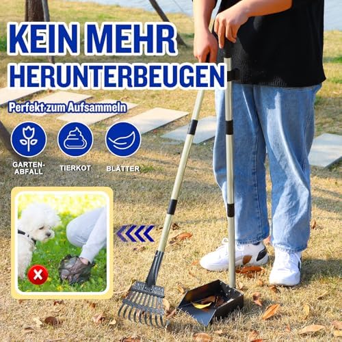 Hondenpoepverzamelaar, afneembaar, set van 2 hondenpoepschepjes voor tuin, gazon, poepschep en hark, metalen hark en schep voor grote en middelgrote honden met lange verstelbare
