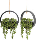 Kunstplanten om op te hangen, 31,8 cm, kunstparelketting in pot met 21,6 cm ophangkoord voor binnen en buiten, wanddecoratie, 2 stuks (zwart)