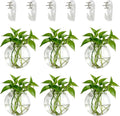 Set van 6 creatieve glazen wandvazen, hangende potten voor hydrocultuurplanten, wanddecoratie voor thuis/de woonkamer