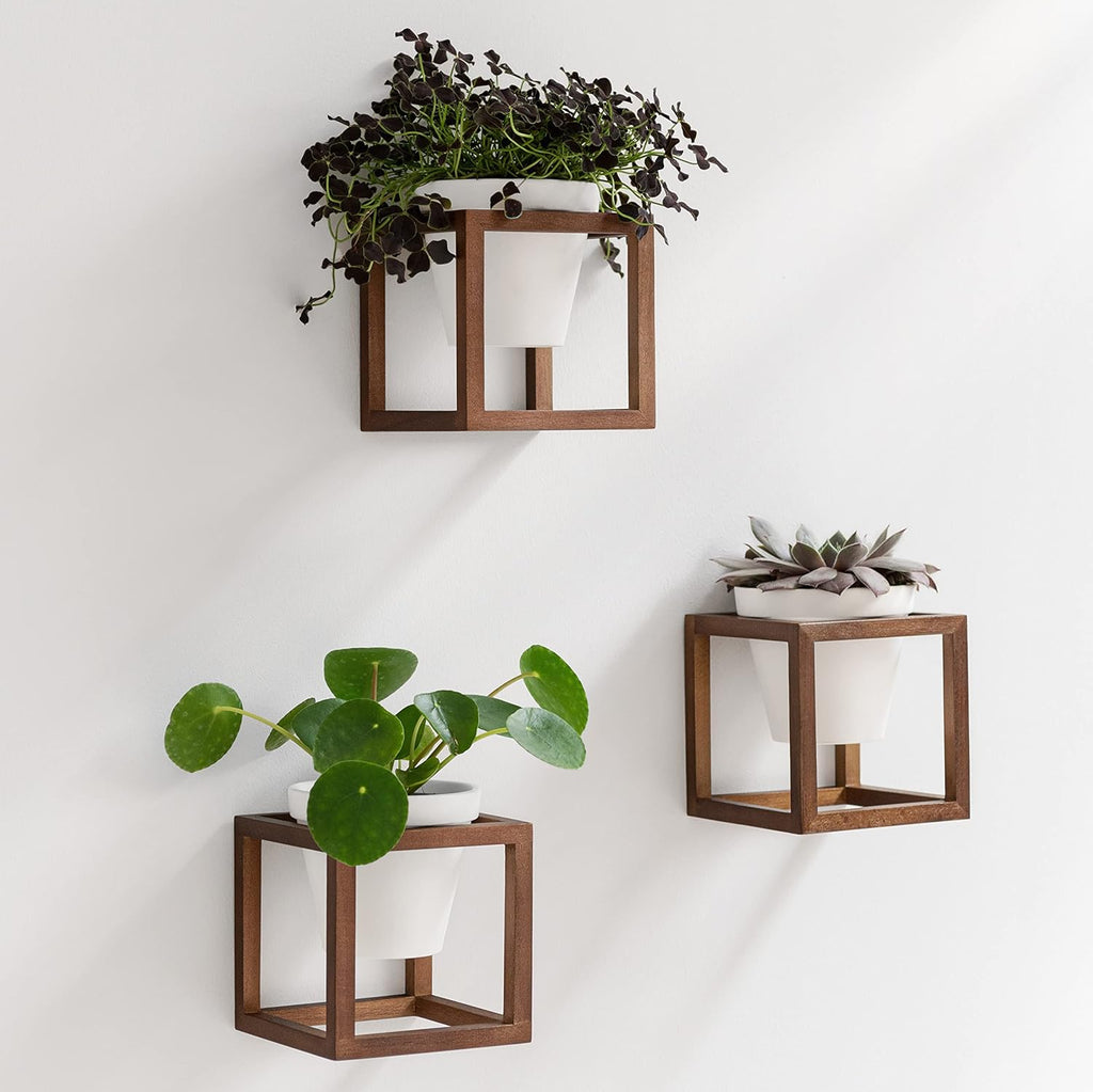 Lille wandvazen, hangende bloempotten in een frame van echt hout, 3-delige plantenpotenset van keramiek en hout voor aan de muur, op tafel en meer, walnootbruin