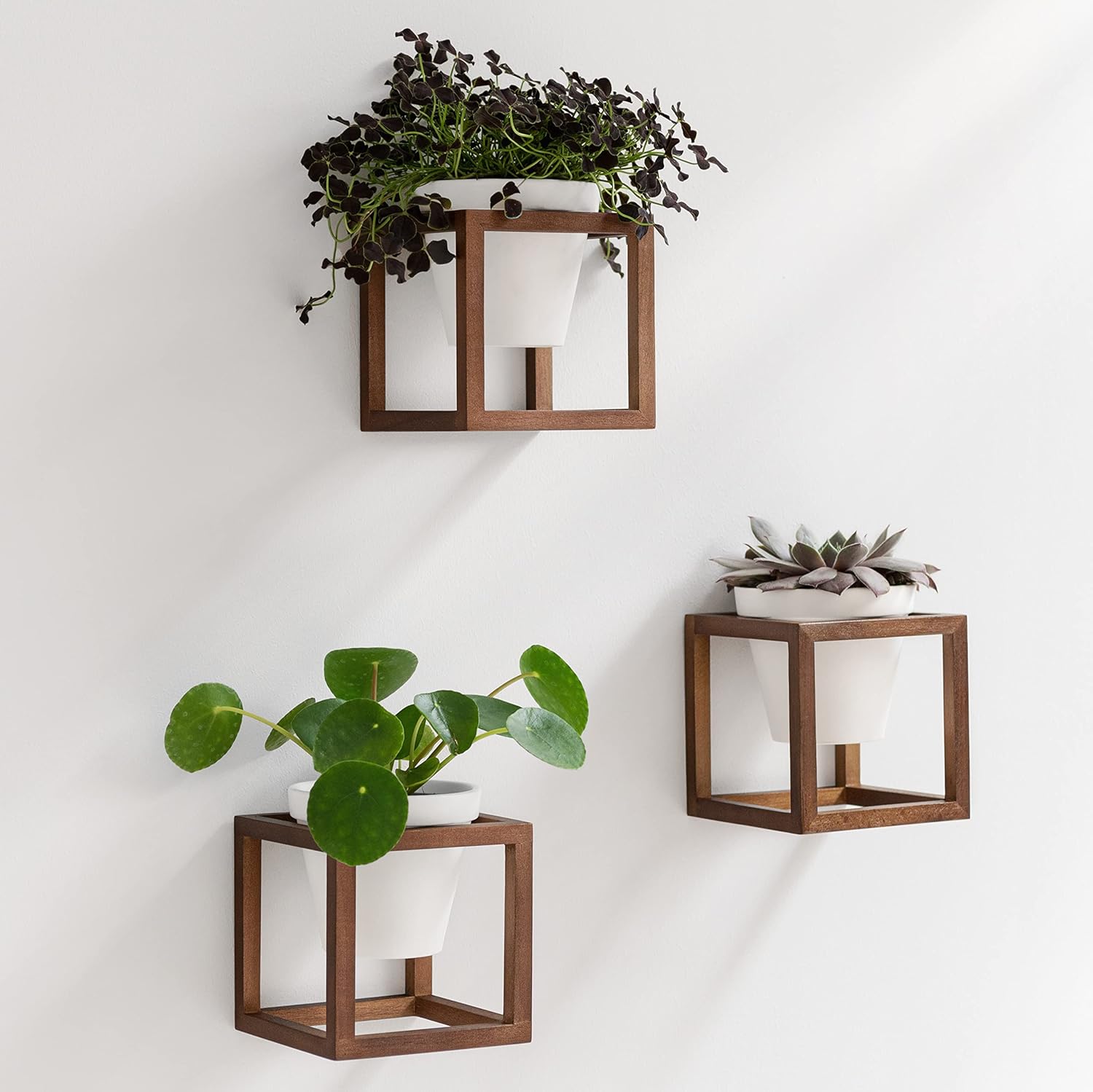 Lille wandvazen, hangende bloempotten in een frame van echt hout, 3-delige plantenpotenset van keramiek en hout voor aan de muur, op tafel en meer, walnootbruin